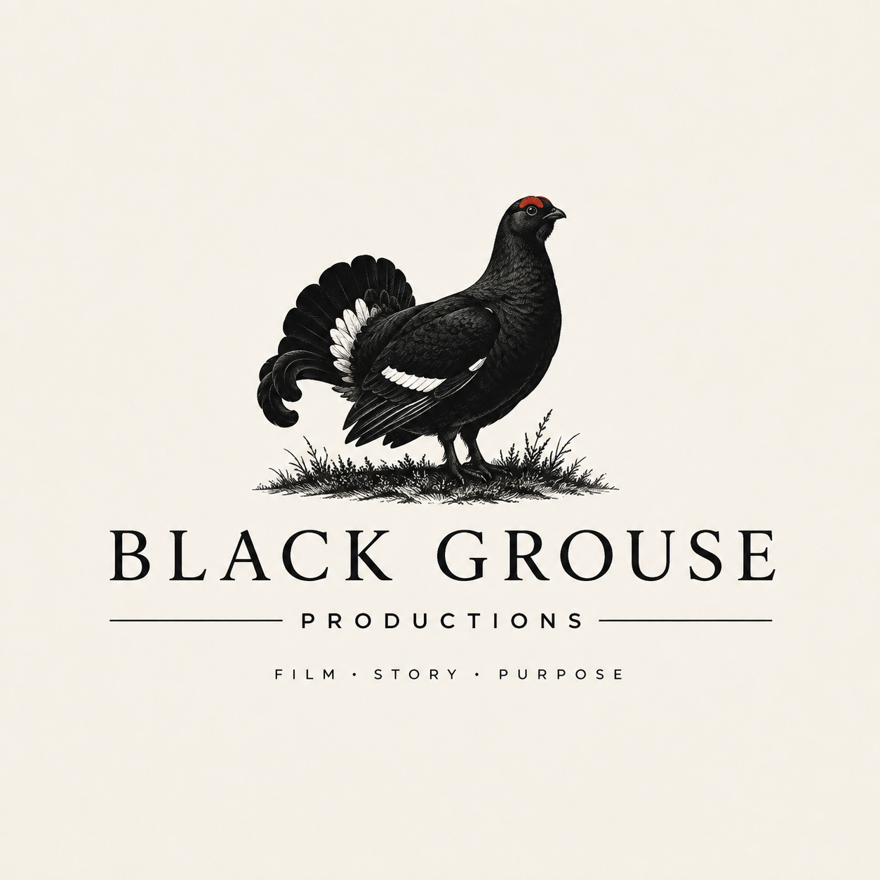 Black Grouse Productions — Film, Story, Purpose